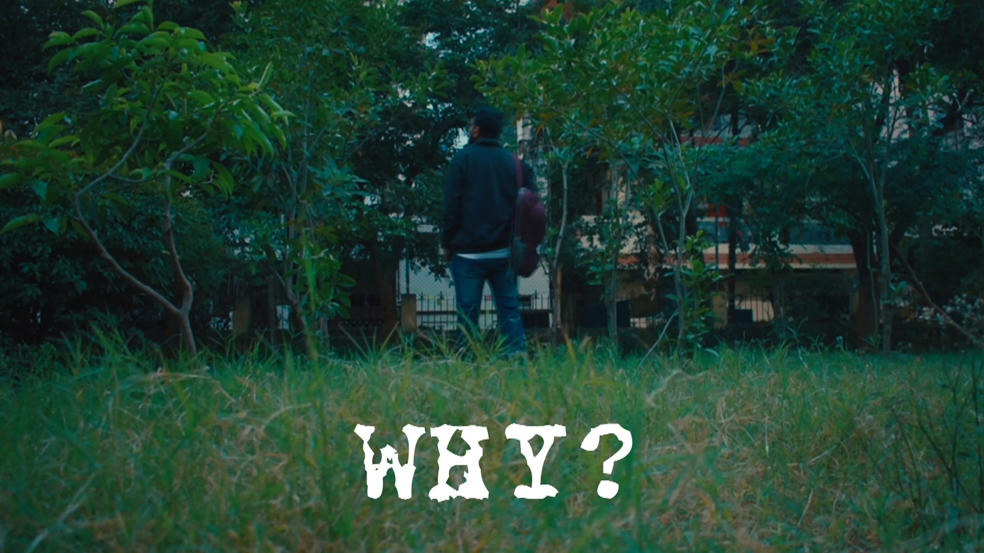 Why? poster